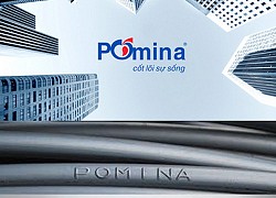 Thép Pomina sắp có 'biến' khi Thép Việt không dự đại hội cổ đông?