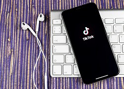 TikTok for Business ra mắt, nâng tầm sáng tạo thương hiệu