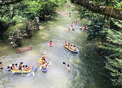 Trải nghiệm công viên trên cây độc đáo bậc nhất tại Việt Nam- Ozo Tree Top Park