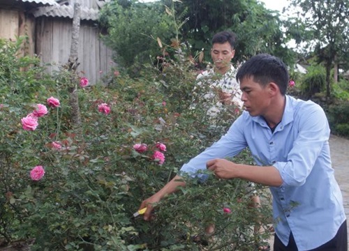 Lai Châu: Sì Thâu Chải vươn mình