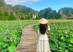 Tư vấn du lịch: Đầm sen Ninh Bình nở đẹp rực rỡ, chị em lên lịch "bung lụa" cuối tuần