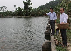 Vay vốn đầu tư nuôi cá, nông dân Hải Dương thu nhập khá