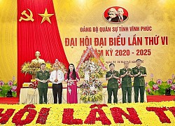 Vĩnh Phúc: Nhiều kết quả nổi bật trong nhiệm kỳ 2015-2020