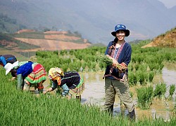 'Bếp trên đỉnh đồi' đạo nhái Lý Tử Thất hay chỉ là cuộc đụng độ vô tình của những ý tưởng lớn?