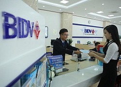 BIDV bán đấu giá khoản nợ 242 tỷ của công ty Nam Sơn với hàng loạt tài sản đảm bảo