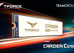 TeamGroup ra mắt T-Force Cardea C440 NVMe với tản nhiệt bằng Sứ