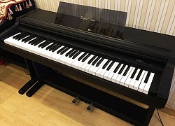 Clip: Tội nghiệp chú mèo hoảng hồn vì... tiếng đàn piano