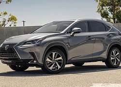 Đánh giá Lexus NX 300h 2020 - dấu hiệu của tuổi già