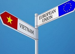 EVFTA giúp kim ngạch xuất khẩu của Việt Nam sang EU tăng thêm 20%