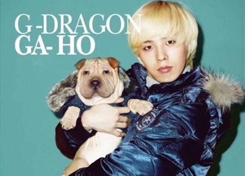 Gaho của G-Dragon và những thú cưng nổi tiếng trong làng thời trang