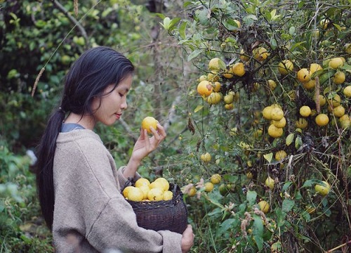 Hậu nghi vấn "đạo nhái" Lý Tử Thất, chủ nhân Bếp Trên Đỉnh Đồi hoạt động trở lại, bình tĩnh livestream và chia sẻ hàng loạt món ăn độc lạ