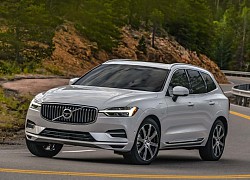 Hơn 2,18 triệu xe Volvo mắc lỗi kỹ thuật