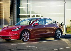 Khách hàng vô tình đặt 28 chiếc Tesla giá 1,6 triệu USD