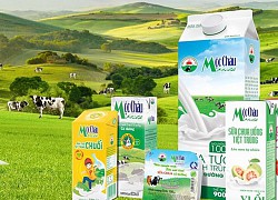 Mộc Châu Milk dự kiến phát hành gần 39,2 triệu cổ phiếu cho nhóm cổ đông Vinamilk