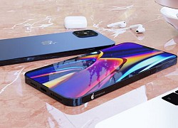 Ngoài iPhone 12, Apple có thể tung thêm 2 siêu phẩm iPhone giá rẻ vào cuối năm nay