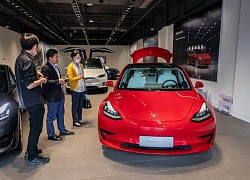 Người đàn ông mua 28 chiếc xe Tesla trên mạng trong suốt 2 giờ đồng hồ và sự thật 'gây cười' đằng sau