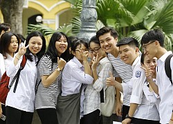 Nhiều thí sinh không thi tuyển đại học