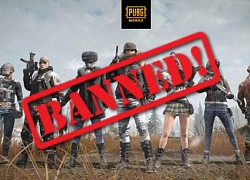 PUBG Mobile, Mobile Legends: Bang Bang và cả TikTok gặp hạn nặng, bị kêu gọi tẩy chay