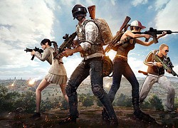 PUBG tạm thời bị cấm ở Pakistan vì lãng phí thời gian và gây hại cho trẻ em