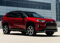 RAV4 Prime ăn khách hơn Toyota dự tính