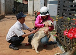 Thêm một trường hợp tử vong do bệnh dại ở Đắk Lắk