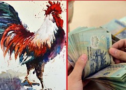 Từ 10/7: 3 con giáp sao Tinh Tú chiếu mệnh tiền nhảy về tài khoản ầm ầm trong tài khoản trong 60 tới