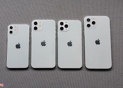 4 mô hình iPhone 12 xuất hiện ở Việt Nam