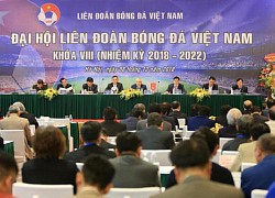 Ba ứng viên tranh cử Phó Chủ tịch tài chính VFF là ai?