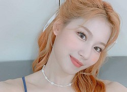 Bác sĩ thẩm mỹ khen Twice là hình mẫu lý tưởng để "dao kéo" theo: Môi đẹp phải giống Nayeon, mắt phải như Momo mới chuẩn