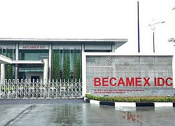 Becamex (BCM) lãi quý 2 giảm 65%, thấp nhất từ khi lên sàn chứng khoán