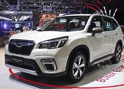 Chỉ xe Subaru Forester ở thị trường Việt Nam mới gặp lỗi "nổi đèn báo kiểm tra động cơ"