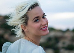 Có thể bạn chưa biết: Katy Perry từng từ chối siêu hit "Titanium" vì nữ ca sĩ Sia