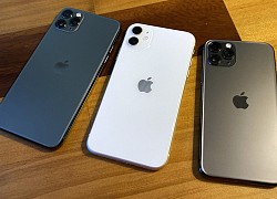 Đây là cách giúp Apple bớt phụ thuộc vào Samsung