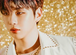 Dọn sạch đường comeback, công ty Kang Daniel thẳng tay &#039;sát phạt&#039; anti fan