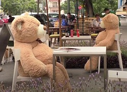 Dùng gấu Teddy khổng lồ để hạn chế lây nhiễm Covid-19