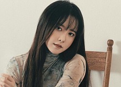 Goo Hye Sun và màn 'lật mặt' sau tuyên bố giải nghệ