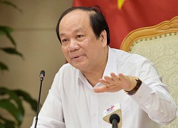 Hà Nội, TP.HCM vẫn đi lại, mua bán bình thường trừ nơi có ca nhiễm Covid-19