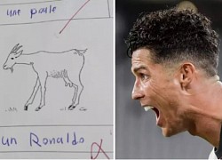 Học sinh thi trượt vì ví Ronaldo với động vật