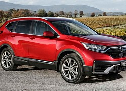 Honda CR-V 2021 trình làng tại Úc bằng nửa giá ở Việt Nam