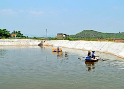 Lắng nghe, tôn trọng ý kiến của nhân dân