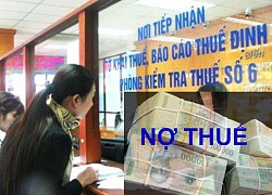 LDG và loạt doanh nghiệp ở Đồng Nai bị bêu tên vì nợ thuế