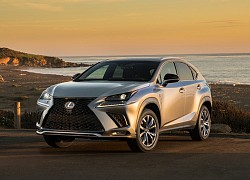 Lexus NX 2021 ra mắt - nâng cấp nhỏ, thêm trang bị tiêu chuẩn