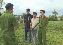 Trộm bò từ Khánh Hòa rồi thuê xe chở lên Đắk Lắk bán