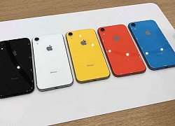 Chiếc iPhone giá rẻ này bỗng là lựa chọn hợp lý mùa dịch COVID-19