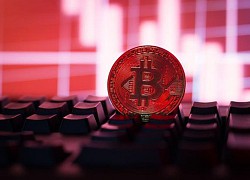 Giá Bitcoin hôm nay 31/7: Đứt mạch tăng, thị trường phân hóa mạnh