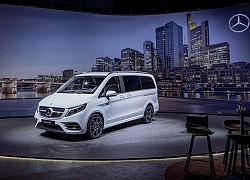 Mercedes-Benz sẽ phát triển thêm một dòng MPV mới có tên T-Class