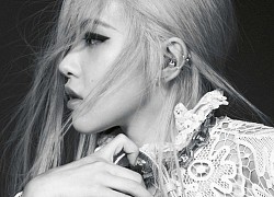 Rosé vừa thành đại sứ, lượng tìm kiếm Saint Laurent lập tức nhảy vọt, có nơi tăng đến 1.000%