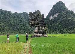 Đánh giá khảo sát Công viên địa chất toàn cầu UNESCO Non nước Cao Bằng