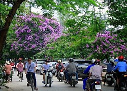 Dự báo thời tiết ngày 5/7: Ngày cuối tuần đẹp trời, mưa lớn vào sáng sớm