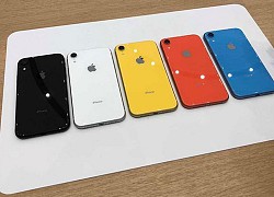 Giá rẻ, nhưng chiếc iPhone này vẫn là smartphone có giá trị tốt nhất hiện nay